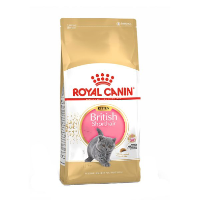 غذای خشک بچه گربه رویال کنین مدل بریتیش شورت هیر Royal canin british shorthair kitten